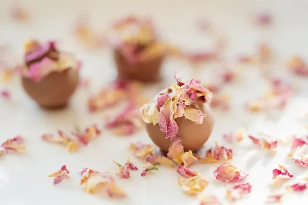 Казино Рокет Слотс Android/iOS приложение